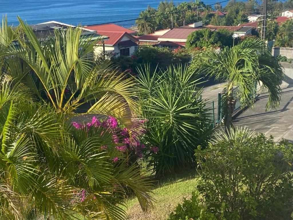 Les Hibiscus Sainte-Luce Exterior foto
